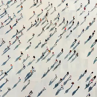 地毯公司产品介绍图