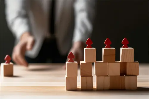 项目集成公司介绍范文